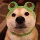 森先生