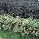 谭生13168976006的头像-博士钣金 - www.bsbanjin.com