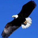 gcs929's Avatar