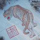 资深测试开发工程师&测试经理