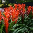 Jim-顾兴进的头像-熵减岛