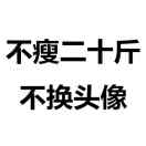 皓月FT