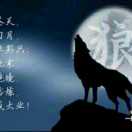 野狼
