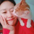 自在飞花轻似梦