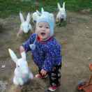 触摸那一摸阳光♥