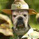 bigdog's Avatar
