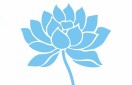 净进~系娟