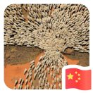 Xiaobing