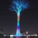 刘先生的头像