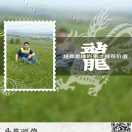 0005QCSL