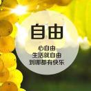 赵井军