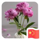 山东宙虹精工机械有限公司