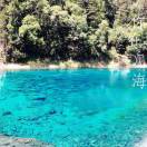 Cherry_596