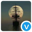 包包--上海大班