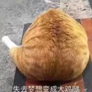 陈亮