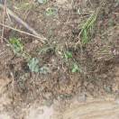 fly10000的头像-助眠音声网