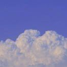 yy68861的头像-小哥网