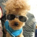 Uncle-Zhang's Avatar