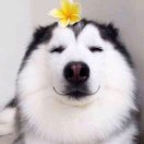 卢生