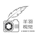 羊羽视觉