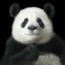 php开发工程师