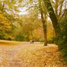 他山之石（Eric）的头像-熵减岛