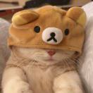 用户59464698的头像-风行者社区