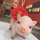 花花（借钱拉黑）