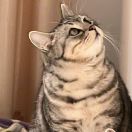 我是坏孩子请别靠近我的头像-三米星球：游戏人&互联网人终身成长的平台