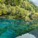 用户37021337的头像 