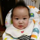 马学升 田野的风