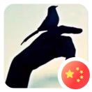 竹君