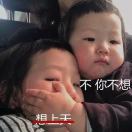 骑去放