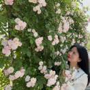 wx_红眼兔兔33