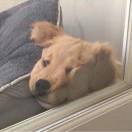 一切随风的头像-梦马考研