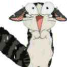 老曾-秀琴曲谱网