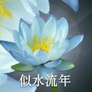 鱼の记忆