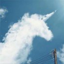 摘星。的头像-cok论坛 - AGREE动漫游戏