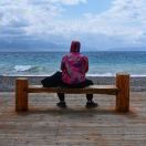 又艺青年-秀琴曲谱网