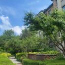 深山里的狼的头像-小哥网