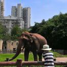 海艺五金：李从军（13266113331）的头像-博士钣金 - www.bsbanjin.com