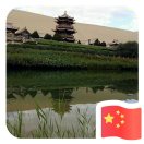 快樂的憂郁草