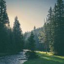 悟菲梵的头像-传承国学正统持焰学堂