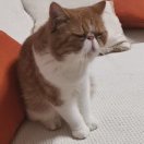 wx_风雷65
