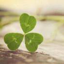 阿力的头像-博士钣金 - www.bsbanjin.com