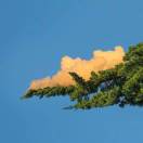 大虹月儿（小宁）