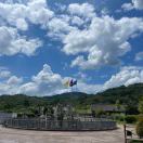 洪洪的头像｜自媒体创作者社区丨榕媒圈