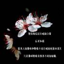 皇先生的头像