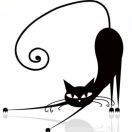 💍 喵了个猫๑๑