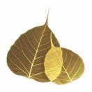 bodyig.net                    19